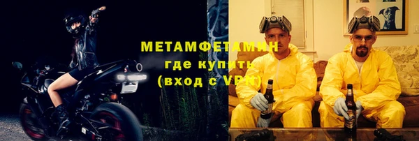 прущие грибы Верхний Тагил