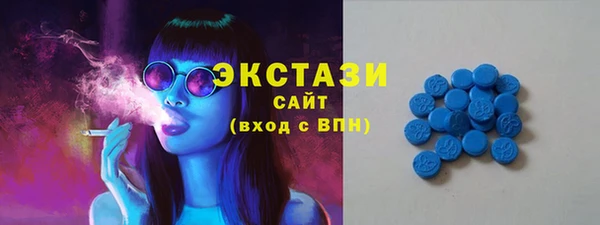 прущие грибы Верхний Тагил