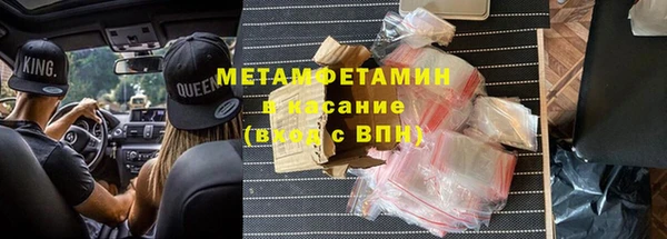 прущие грибы Верхний Тагил