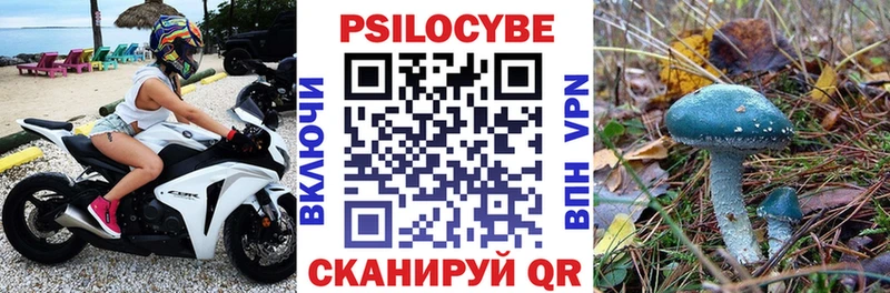 мега маркетплейс  Шали  Галлюциногенные грибы GOLDEN TEACHER 